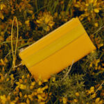 THE WRISTLET - Image 6